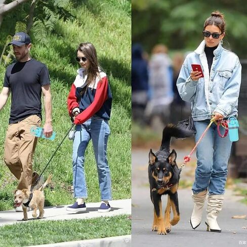 Pooper Scooper for Small Dogs, Portable No‑Touch Waste Picker with Built‑In Bag Dispenser 1 Roll 15PCS Bags, One‑Handed Claw Grabber, Leak‑Resistant Storage for Small & Medium Dogs, Cats & Small Pets in Kuwait