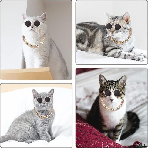 Molain Cat النظارات الشمسية سلسلة ذهبية زي الزينة للأشعة فوق البنفسجية حماية الكلاسيكية الرجعية جرو النظارات الشمسية الرجعية فو صور الدعائم in Kuwait