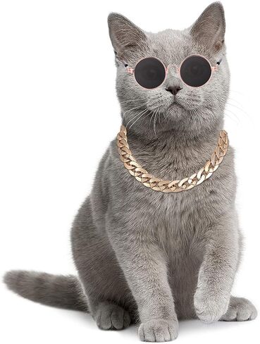 Molain Cat النظارات الشمسية سلسلة ذهبية زي الزينة للأشعة فوق البنفسجية حماية الكلاسيكية الرجعية جرو النظارات الشمسية الرجعية فو صور الدعائم in Kuwait