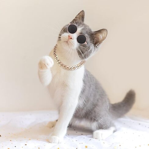 Molain Cat النظارات الشمسية سلسلة ذهبية زي الزينة للأشعة فوق البنفسجية حماية الكلاسيكية الرجعية جرو النظارات الشمسية الرجعية فو صور الدعائم in Kuwait