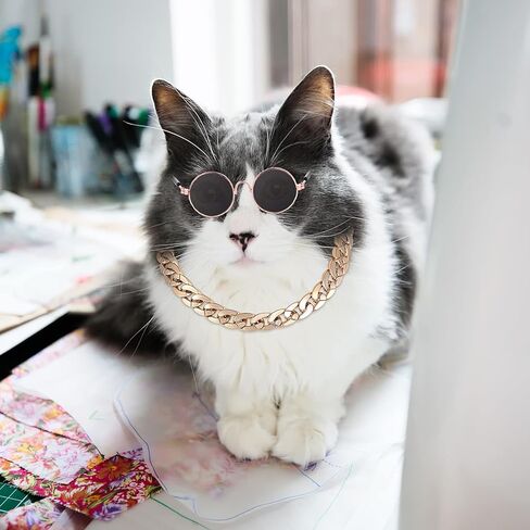 Molain Cat النظارات الشمسية سلسلة ذهبية زي الزينة للأشعة فوق البنفسجية حماية الكلاسيكية الرجعية جرو النظارات الشمسية الرجعية فو صور الدعائم in Kuwait
