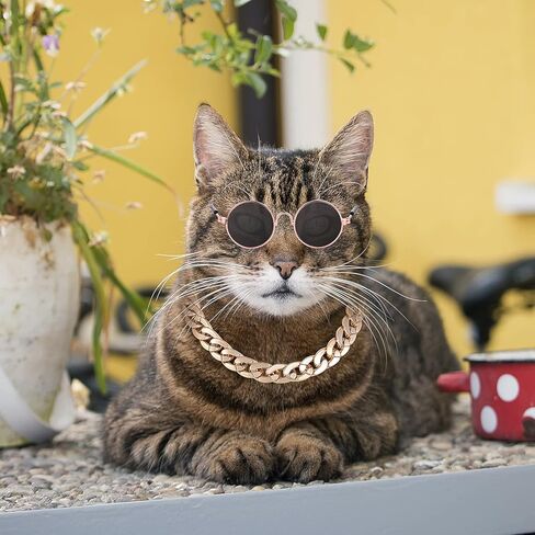 Molain Cat النظارات الشمسية سلسلة ذهبية زي الزينة للأشعة فوق البنفسجية حماية الكلاسيكية الرجعية جرو النظارات الشمسية الرجعية فو صور الدعائم in Kuwait