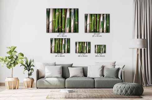 Bamboo Field in Surabaya, Indonesia - Print/Canvas/Acrylic/Metal in Kuwait