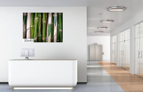 Bamboo Field in Surabaya, Indonesia - Print/Canvas/Acrylic/Metal in Kuwait