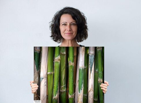 Bamboo Field in Surabaya, Indonesia - Print/Canvas/Acrylic/Metal in Kuwait