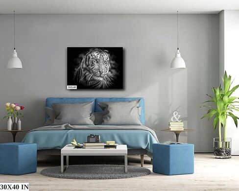 Tiger (Panthera Tigris) - Print/Canvas/Acrylic/Metal in Kuwait