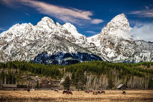 Dude Ranch، جراند تيتون، جاكسون هول، وايومنغ - طباعة/قماش/أكريليك/معدن in Kuwait