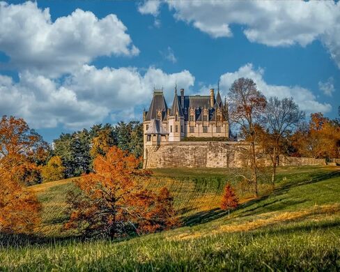 Biltmore Estate - West Lawn - طباعة/قماش/أكريليك/معدن in Kuwait