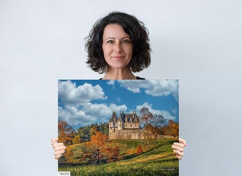 Biltmore Estate - West Lawn - طباعة/قماش/أكريليك/معدن in Kuwait