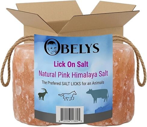 Natural Pink Himalayan Lick-on-Salt | 5.8 to 6.8 Lbs (2 Pack) | Salt Block for Horses, Cows, and Livestock | Mineral Rich Trace Elements, Weather Resistant Supplement with Rope in Kuwait