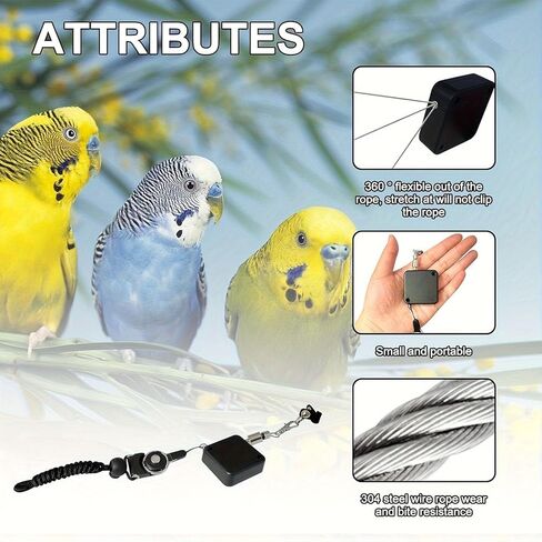 Retractable Bird Leash for Outdoor Flight Training, Anti Bite Stainless Steel Parrot Flying Rope with 3 Sizes of Soft Foot Rings, Adjustable Bird Tether & Harness for Parakeets in Kuwait