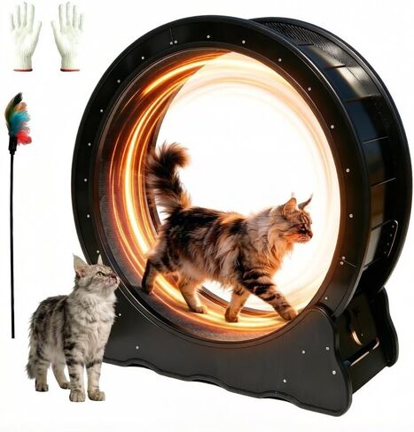 Cat Exercise Wheel - 35.4 Inch Wooden Low Noise Cat Treadmill for Indoor Cats, Detachable Carpet & Enhanced Base for Fitness, Weight Loss Size M Black in Kuwait