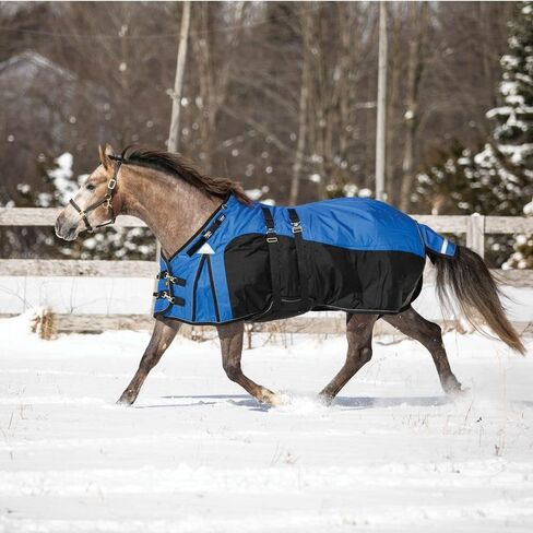 Warrior V-Free Adjusta-Fit Bellyband Horse Blanket | Wither Relief | Waterproof Horse Blanket | Multiple Warmth Level | Winter Horse Blankets in Kuwait