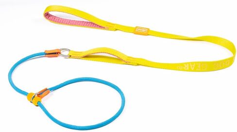 HowGo Slip Lead Dog Leash with Padded Handles | Lightweight Dog Training Leash with 360°Swivel Anti-Tangle | Heavy-Duty Lead and Collar for Large Medium and Small, No-Pull Walking (Black, 5.5FT) in Kuwait