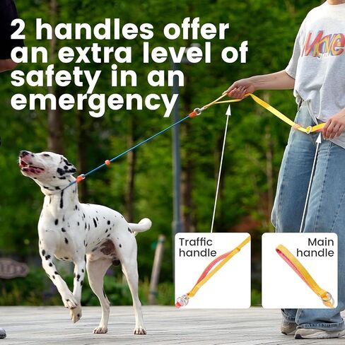 HowGo Slip Lead Dog Leash with Padded Handles | Lightweight Dog Training Leash with 360°Swivel Anti-Tangle | Heavy-Duty Lead and Collar for Large Medium and Small, No-Pull Walking (Black, 5.5FT) in Kuwait