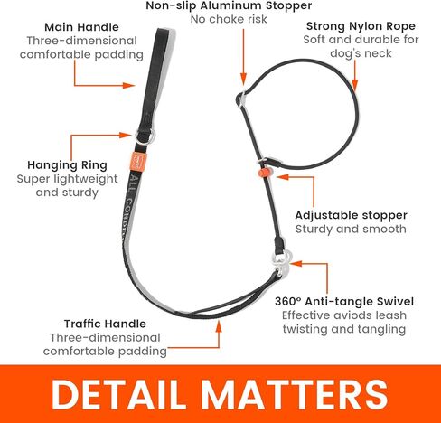 HowGo Slip Lead Dog Leash with Padded Handles | Lightweight Dog Training Leash with 360°Swivel Anti-Tangle | Heavy-Duty Lead and Collar for Large Medium and Small, No-Pull Walking (Black, 5.5FT) in Kuwait