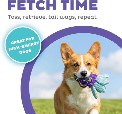 Outward Hound FlyFetch Birdie Dog Toy, Fetch or Replacement Tail for Teaser Wand, Multiple Textures, All Breeds, 5.5", 2-Pack in Kuwait