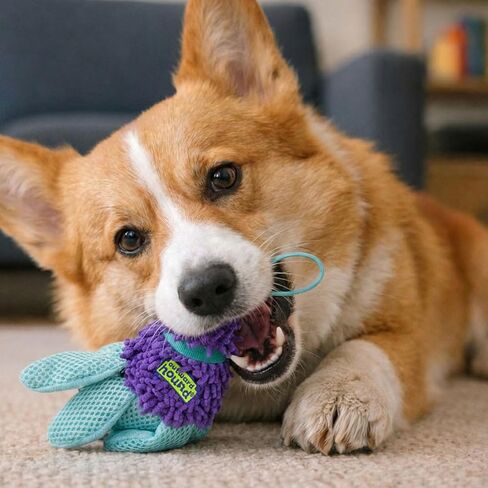 Outward Hound FlyFetch Birdie Dog Toy, Fetch or Replacement Tail for Teaser Wand, Multiple Textures, All Breeds, 5.5", 2-Pack in Kuwait