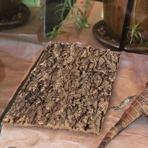 SHINEOFI 4pcs Reptile Bark Decor Wood,11. 8" X 7. 8" Cork Bark Background Natural Terrariums Background Cork Wood Habitat Tank Decoration for Bearded Dragon in Kuwait