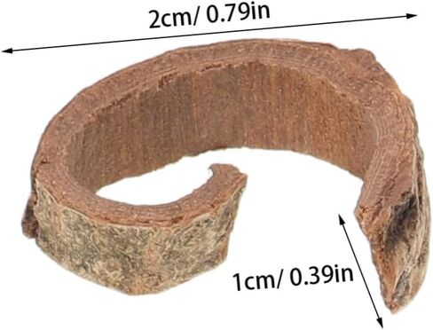 Gadpiparty Natural Pecan Wood Bark Sheets 100g for DIY Terrarium Background, Reptile Habitat Decor, Fish Tank and Snake Enclosure Backdrop in Kuwait