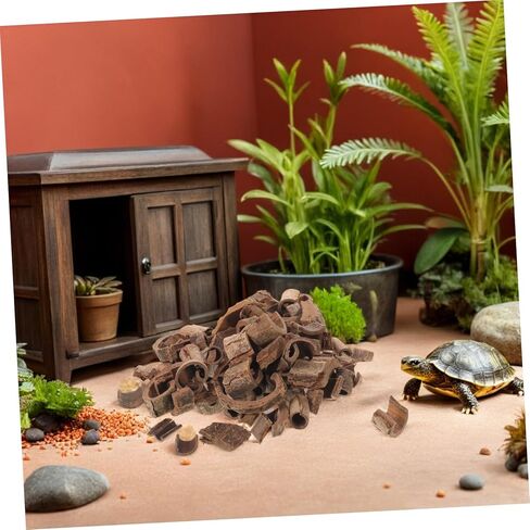 Gadpiparty Natural Pecan Wood Bark Sheets 100g for DIY Terrarium Background, Reptile Habitat Decor, Fish Tank and Snake Enclosure Backdrop in Kuwait