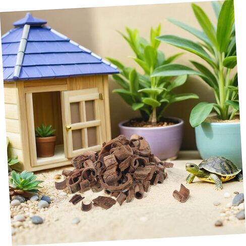 Gadpiparty Natural Pecan Wood Bark Sheets 100g for DIY Terrarium Background, Reptile Habitat Decor, Fish Tank and Snake Enclosure Backdrop in Kuwait
