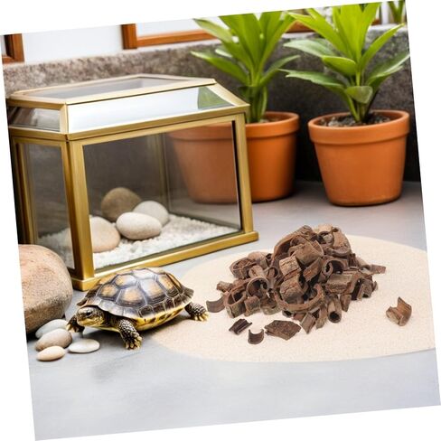Gadpiparty Natural Pecan Wood Bark Sheets 100g for DIY Terrarium Background, Reptile Habitat Decor, Fish Tank and Snake Enclosure Backdrop in Kuwait