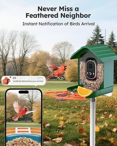 Smart Bird Feeder with Camera Solar Powered for Outdoors 2K FHD AI Recognition Hanging Bird Feeder Camera for Outside Backyard Garden, Gifts for Birdlover Mom Dad Kid (Dark Green and Orange) in Kuwait