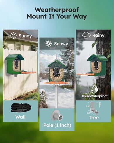 Smart Bird Feeder with Camera Solar Powered for Outdoors 2K FHD AI Recognition Hanging Bird Feeder Camera for Outside Backyard Garden, Gifts for Birdlover Mom Dad Kid (Dark Green and Orange) in Kuwait