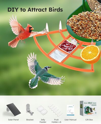 Smart Bird Feeder with Camera Solar Powered for Outdoors 2K FHD AI Recognition Hanging Bird Feeder Camera for Outside Backyard Garden, Gifts for Birdlover Mom Dad Kid (Dark Green and Orange) in Kuwait