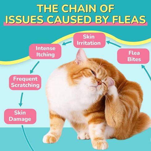 Woyamay Flea Treatment for Cats & Itch Relief Chews, 500 Crunchy Cat Flea Treatment Chews, Cat Itchy Skin Relief, Cat Itching Relief & Skin Care, Flea Prevention for Cats, Chicken Flavor in Kuwait