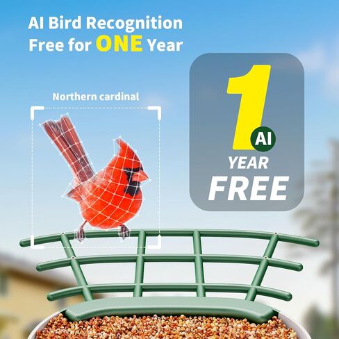 Bird Feeder with Camera, HD Birdwatching Camera with 1 Year Trial AI Identify, 4 DIY Add-ons, Smart Birds Cam with Solar Panel for Outdoor, Auto Record Videos, Gift for Bird Lover in Saudi Arabia
