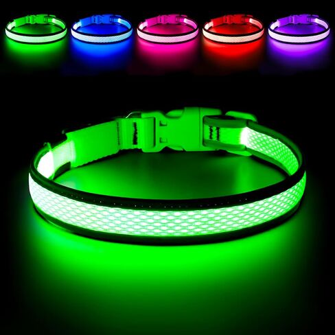 Flashseen LED Dog Collar, Light Up Dog Collar USB Rechargeable, Brightest Dog Lights for Night Walking, Adjustable Dog Collar Light for Dog Safety (Green, Large) in Kuwait