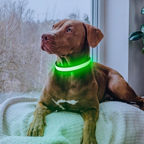 Flashseen LED Dog Collar, Light Up Dog Collar USB Rechargeable, Brightest Dog Lights for Night Walking, Adjustable Dog Collar Light for Dog Safety (Green, Large) in Kuwait