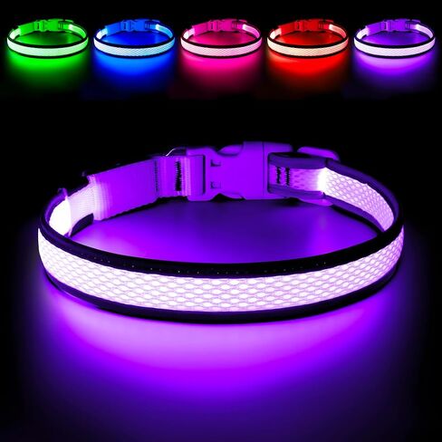 Flashseen LED Dog Collar, Light Up Dog Collar USB Rechargeable, Brightest Dog Lights for Night Walking, Adjustable Dog Collar Light for Dog Safety (Green, Large) in Kuwait