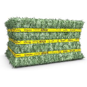 standlee Certified Alfalfa Compressed Hay Bale, Alfalfa Hay for Horses and Cattle, 50 lbs in Kuwait