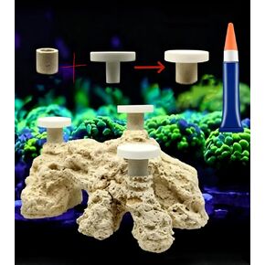 AWXZOM Pluggable Ceramic Coral Frag Plugs 12pcs + Coral Glue, frag Plug Base in Saudi Arabia