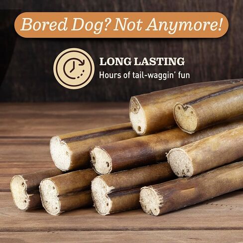 MEGA Bully Sticks (12 Inch, 5 Count) Extra-Thick Dog Treats – Fully Digestible 100% Beef Treats, Natural Dental Chews – Keep Your Dog Busy with 50% Longer Lasting Chews in Kuwait