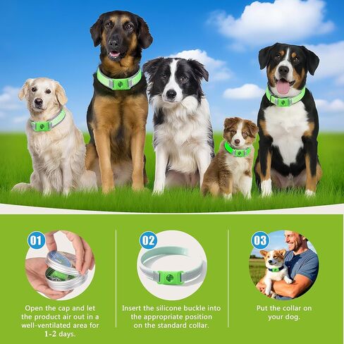 Pendant for Dogs, Adjustable Collar Tag for Small Medium Large Breeds, Water-Resistant Wellness Pendant with 2 Refills (Green) in Saudi Arabia