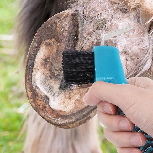 TEHAUX 2pcs Hoof Pick Brush with Bristles Plastic Handle Horseshoe Cleaner Equestrian Grooming Tool for Horse Hoof Care Stable Use Random Color in Kuwait