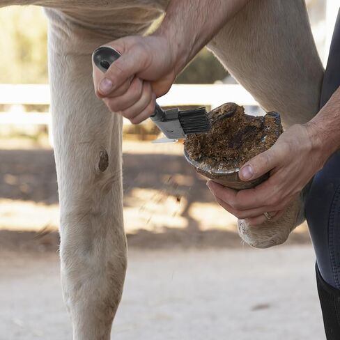 TEHAUX 2pcs Hoof Pick Brush with Bristles Plastic Handle Horseshoe Cleaner Equestrian Grooming Tool for Horse Hoof Care Stable Use Random Color in Kuwait