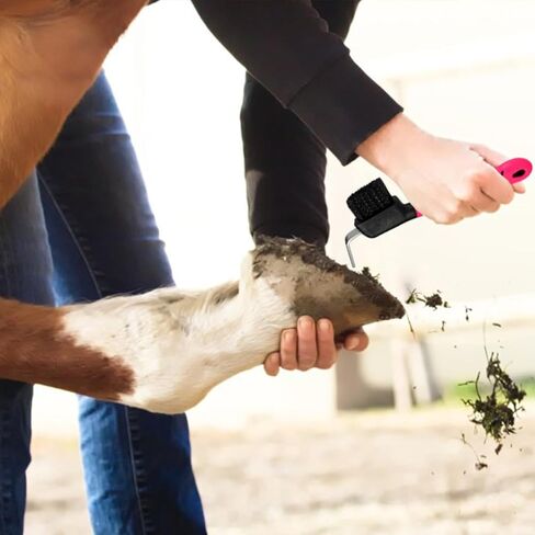 Ciieeo 2pcs Horse Hoof Pick with Brush, Professional Horseshoe Cleaning Tool with Bristle Hoof Brush for Equestrian Grooming and Horse Care Random Color in Kuwait