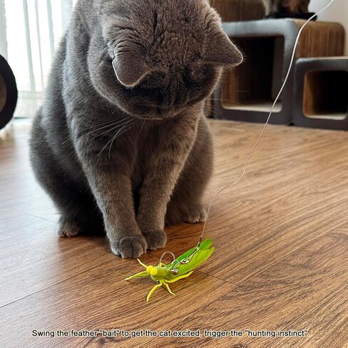 TTcat Feather Toys, 3 Pcs Simulation Insects Grasshopper Refills, Cat Toys Replacement Feathers for Cat Kitten Wand. in Kuwait