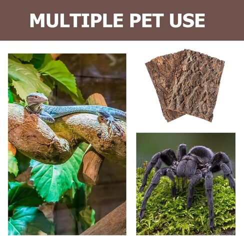 Didiseaon 4 Pcs Reptile Bark Platforms, Natural Wood Terrarium Climbing Decor, Cork Flats Enclosure Accessories for Bearded Dragon Gecko in Kuwait