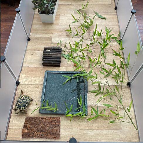 Didiseaon 4 Pcs Reptile Bark Platforms, Natural Wood Terrarium Climbing Decor, Cork Flats Enclosure Accessories for Bearded Dragon Gecko in Kuwait