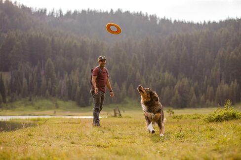 Ruffwear، قرص طائر للكلاب المائية، لعبة جلب عائمة من الرغوة الناعمة، لعبة تفاعلية خفيفة الوزن للمياه والثلج، لطيفة على الأسنان، لعب خارجي متين على مدار العام، أوركيد أرجواني، 9 بوصات متوسطة in Kuwait