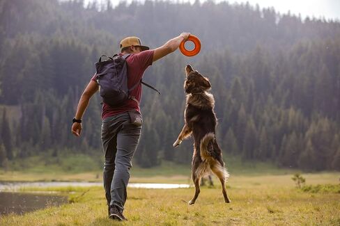 Ruffwear، قرص طائر للكلاب المائية، لعبة جلب عائمة من الرغوة الناعمة، لعبة تفاعلية خفيفة الوزن للمياه والثلج، لطيفة على الأسنان، لعب خارجي متين على مدار العام، أوركيد أرجواني، 9 بوصات متوسطة in Kuwait