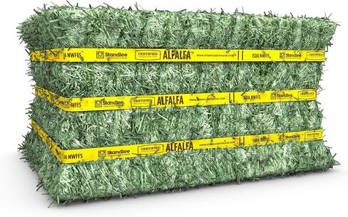 standlee Certified Alfalfa Compressed Hay Bale, Alfalfa Hay for Horses and Cattle, 50 lbs in Kuwait