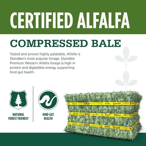 standlee Certified Alfalfa Compressed Hay Bale, Alfalfa Hay for Horses and Cattle, 50 lbs in Kuwait