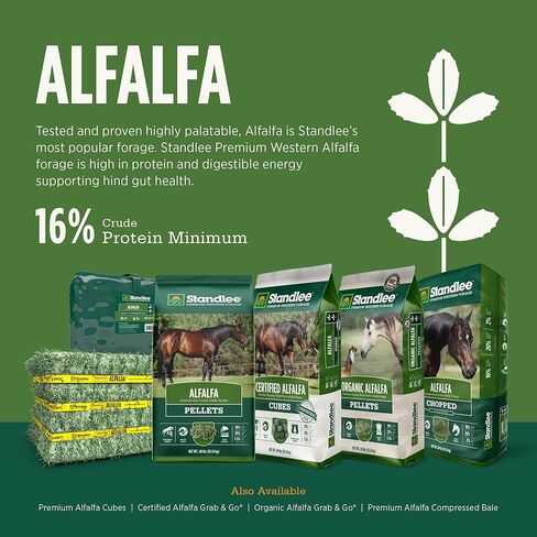standlee Certified Alfalfa Compressed Hay Bale, Alfalfa Hay for Horses and Cattle, 50 lbs in Kuwait